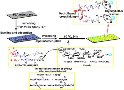 寧波材料所生物基聚合物微孔膜制備及改性研究獲進展_中國膜工業協會