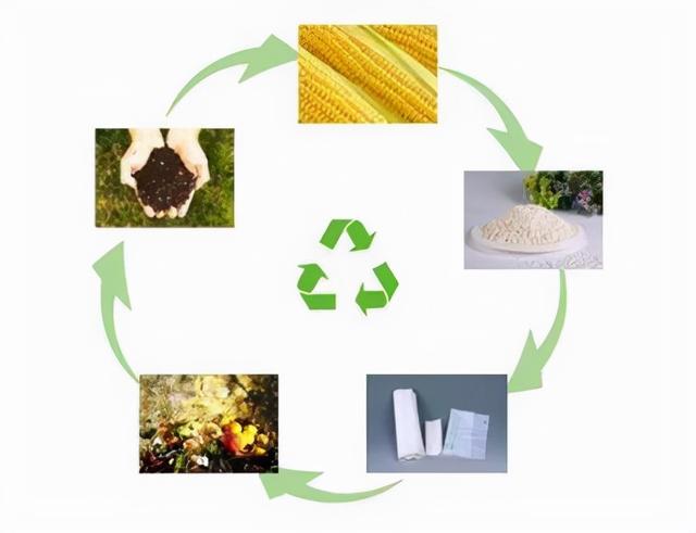 關(guān)于"生物基",大家知多少?加速"碳中和"的重要材料