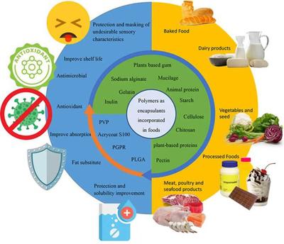 J. Future Foods | 食品中聚合物基包封材料的應(yīng)用與進(jìn)展